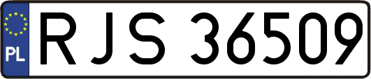 RJS36509