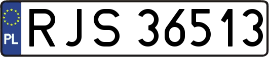 RJS36513