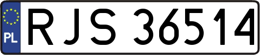 RJS36514