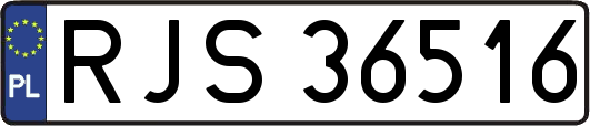 RJS36516