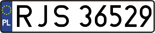 RJS36529
