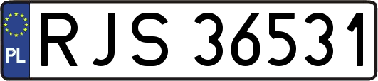 RJS36531