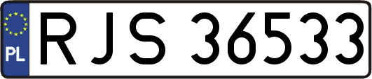 RJS36533