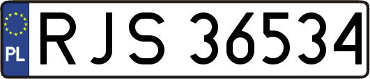 RJS36534