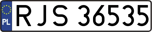 RJS36535