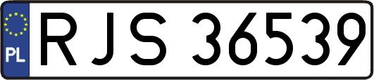 RJS36539