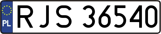 RJS36540