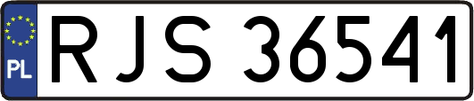 RJS36541