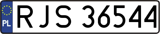 RJS36544