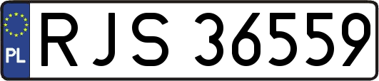 RJS36559