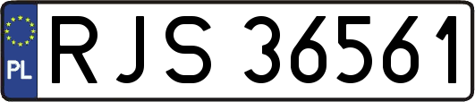 RJS36561