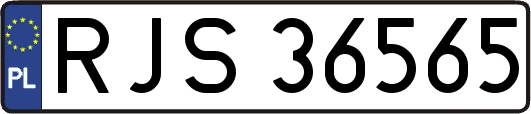 RJS36565