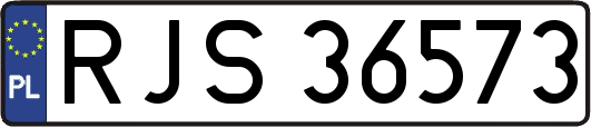 RJS36573