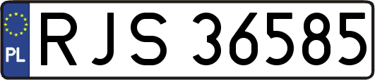RJS36585