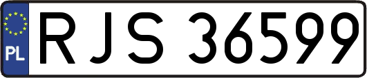 RJS36599