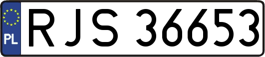 RJS36653