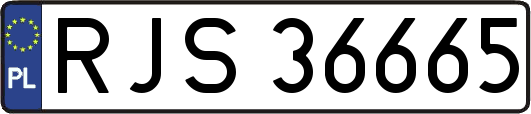 RJS36665