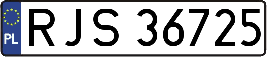 RJS36725