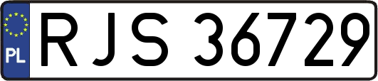 RJS36729