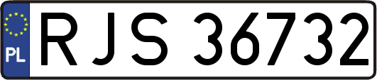 RJS36732