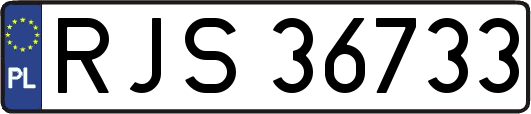 RJS36733