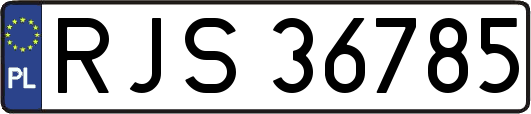 RJS36785