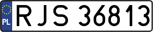 RJS36813