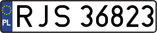 RJS36823
