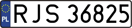 RJS36825