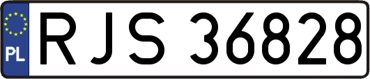 RJS36828