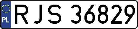 RJS36829