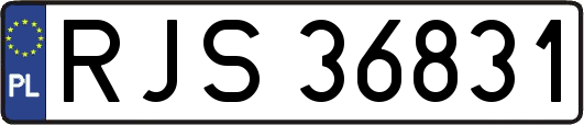 RJS36831