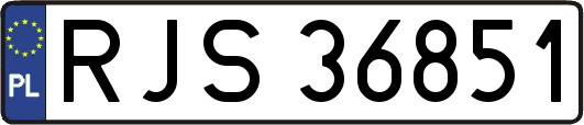RJS36851