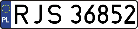 RJS36852