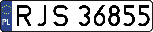 RJS36855