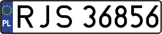RJS36856