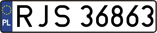 RJS36863