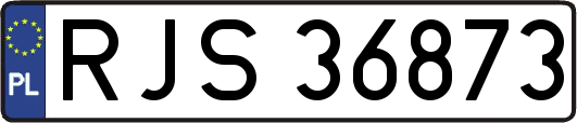 RJS36873