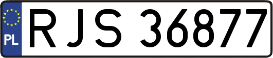 RJS36877