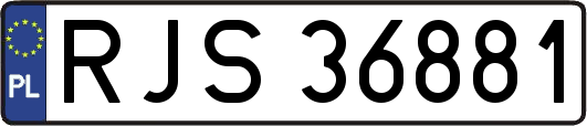 RJS36881