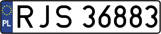 RJS36883