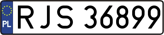 RJS36899
