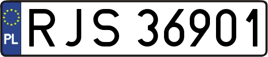 RJS36901