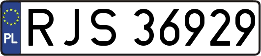 RJS36929