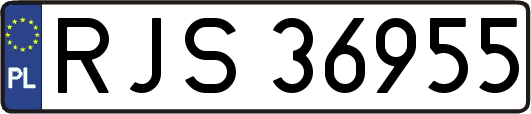 RJS36955