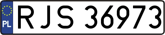 RJS36973