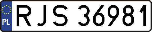 RJS36981