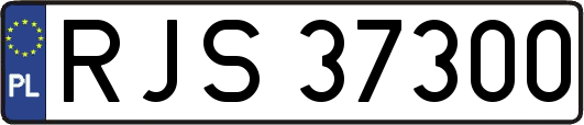 RJS37300