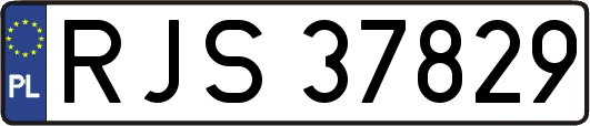 RJS37829