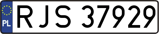 RJS37929